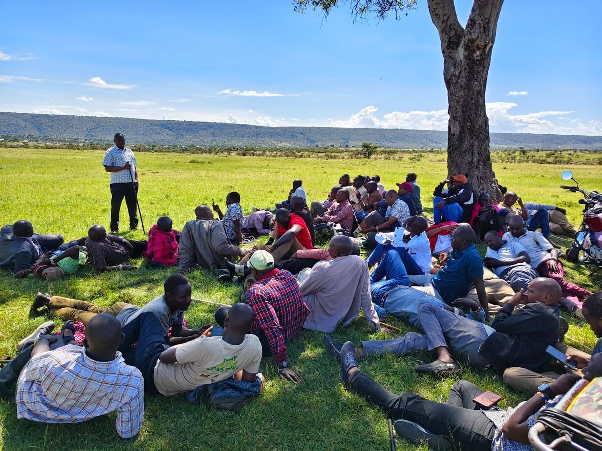 MConservancies's tweet photo. Preparations for the Naboisho Conservancy elections are well underway.

Led by our Programmes Lead, Daniel ole Muli, our team has successfully engaged members across all nine clusters—Aitong, En'donyio Erinka, Talek, Olesere, Sekenani, Mararianda, Olare Orok, Ole Moncho, and Nkoilale.

During the engagements, cluster membership registers were verified, and members were taken through the election guidelines to ensure a transparent, inclusive, and well-informed electoral process.

The next step will see all candidates invited for clearance ahead of the elections scheduled for 27th June.

These efforts reflect our commitment to strengthening conservancy governance, accountability, and democratic participation.

#ConservationGovernance #NaboishoConservancy #CommunityLeadership #MaraConservancies