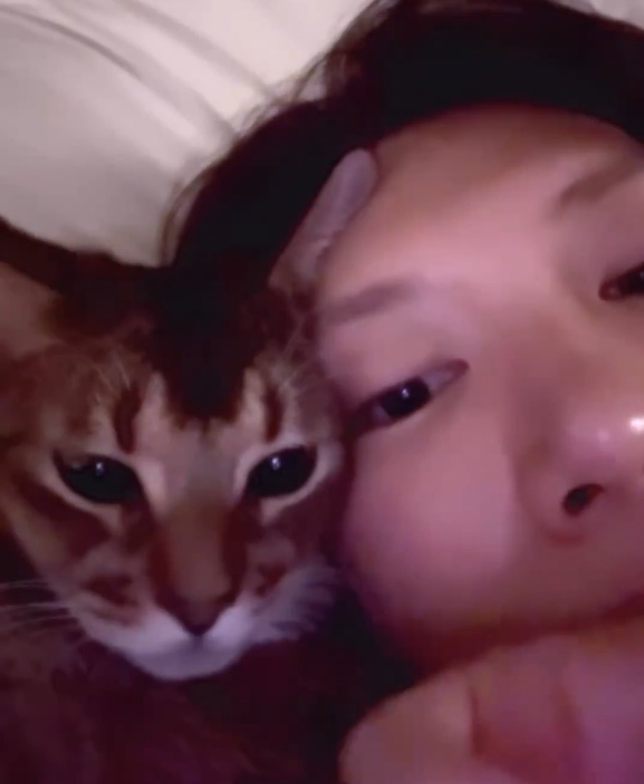 🐱 บิ้บบิ้บล์ 555 🐱 tweet media