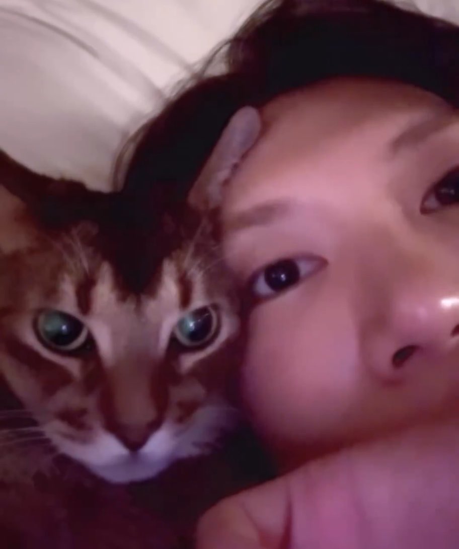 🐱 บิ้บบิ้บล์ 555 🐱 tweet media