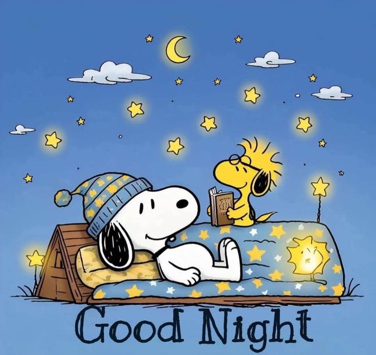 Miffyfans123's tweet photo. 💤😴
#Woodstock #Peanuts #スヌーピー #Snoopy #SnoopyVibes https://t.co/LzKTYD1z1t