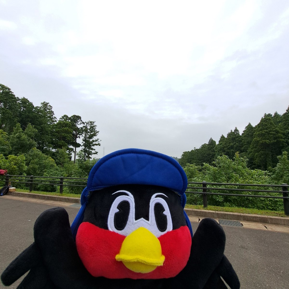 MATSUBAKUROU's tweet photo. ナスパ・スタジアムは緑が大変豊かで大自然のなかにある球場でとても癒されました https://t.co/G2k6q1toF9