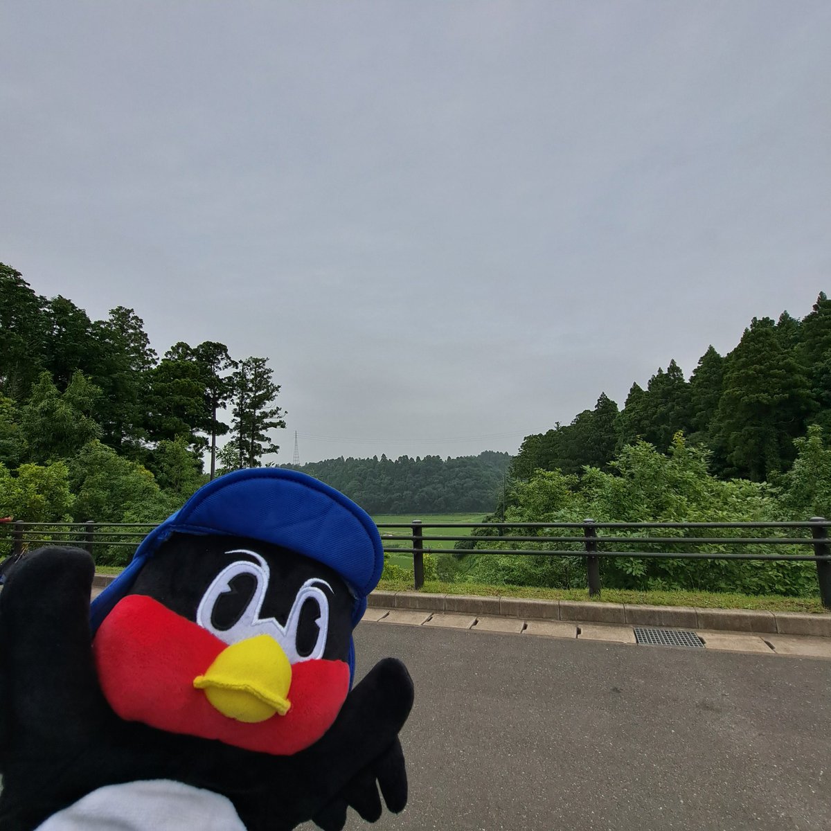 MATSUBAKUROU's tweet photo. ナスパ・スタジアムは緑が大変豊かで大自然のなかにある球場でとても癒されました https://t.co/G2k6q1toF9