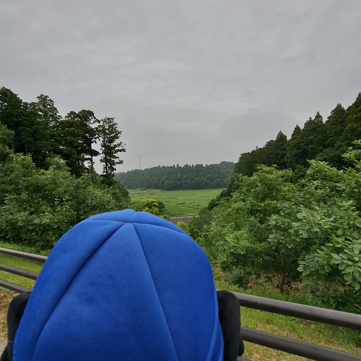 MATSUBAKUROU's tweet photo. ナスパ・スタジアムは緑が大変豊かで大自然のなかにある球場でとても癒されました https://t.co/G2k6q1toF9