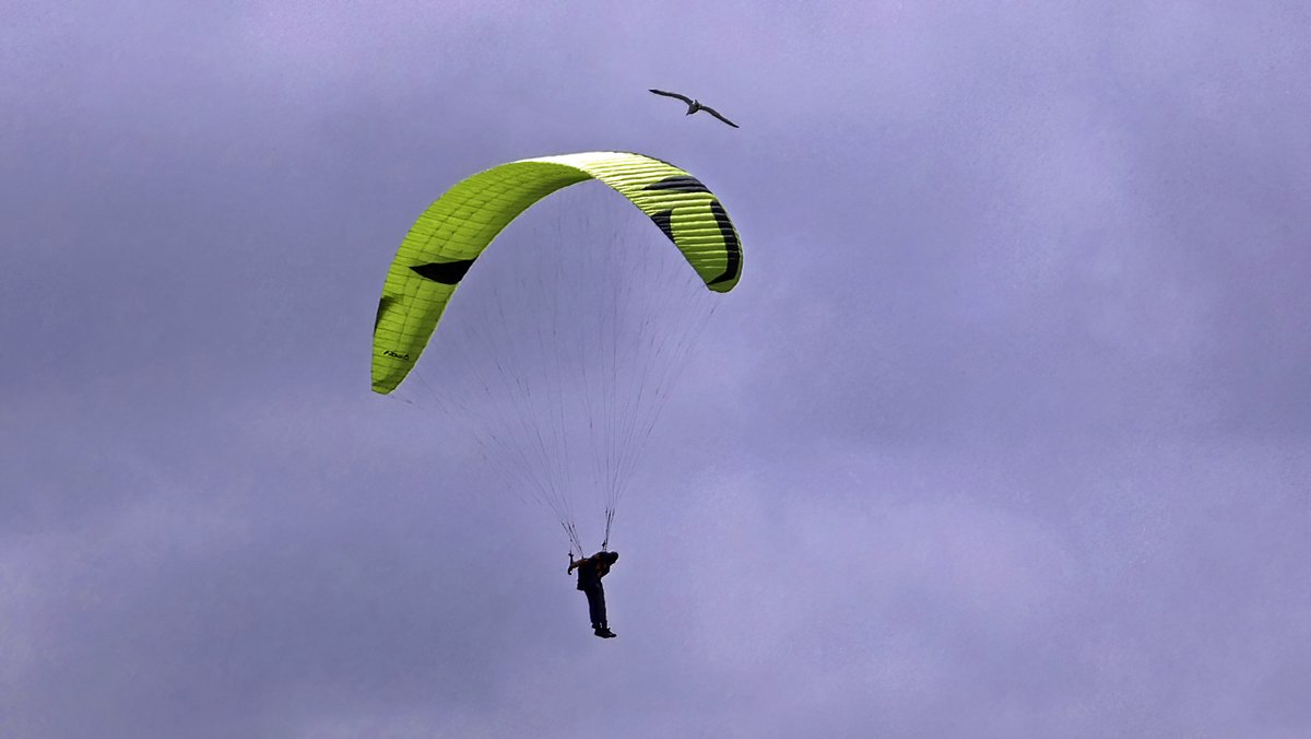 Sjef55's tweet photo. Paraglider onder een wolkendek #egmondaanzee @WilliamHuizinga @nicolienkroon @onwukaa @BuienRadarNL @mrmiddendorp @MartijnDorrest1 @EmsWeather @helgavanleur @jordiweerman @marjondehond @RTLOntbijtnws @RTLnieuws @janvissersweer @NHNieuws @weermanrobert https://t.co/HwyVttDYfP