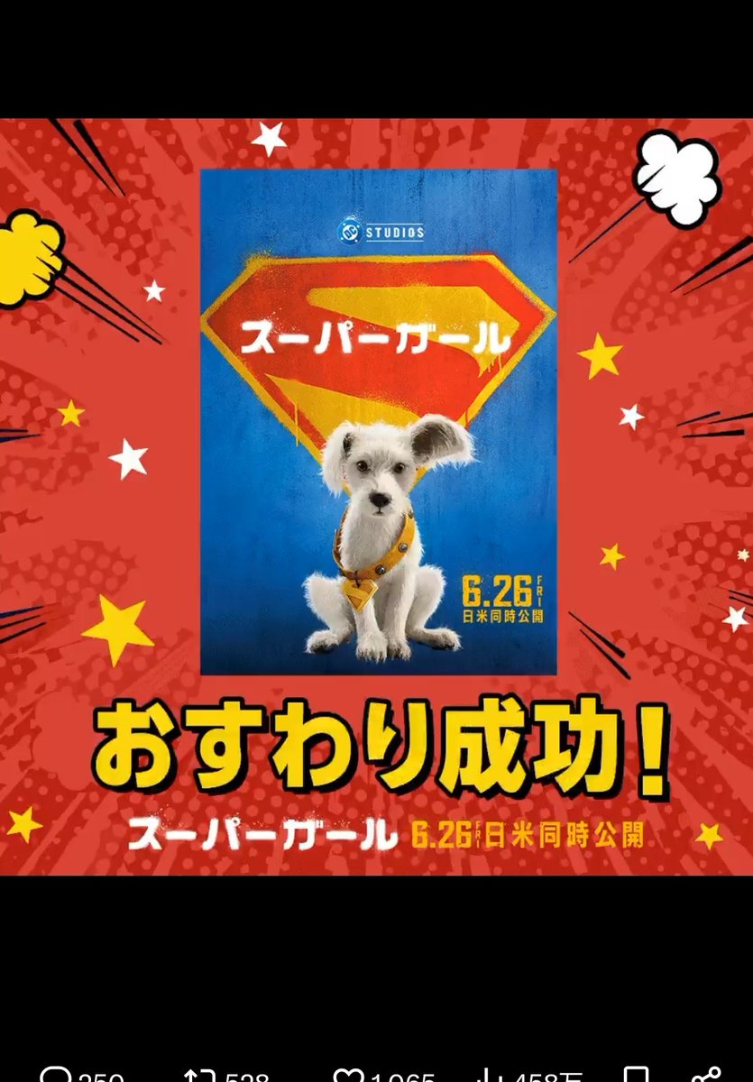 aki_jch's tweet photo. #クリプトおすわりキャンペーン

クリプト、おすわりできたね❤ https://t.co/Sp09lez6XX