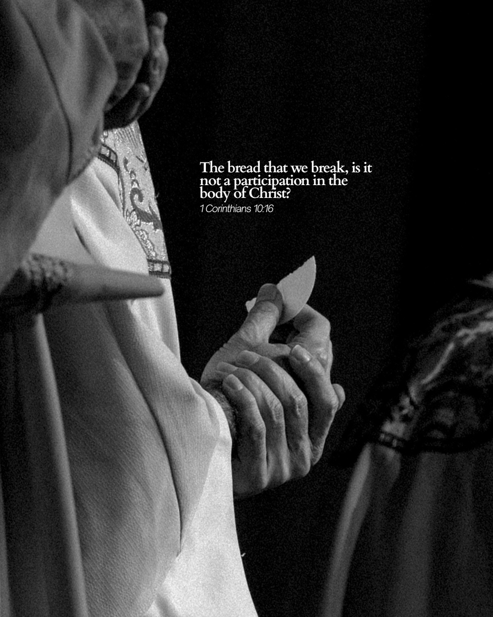 FOCUScatholic's tweet photo. Jesus tells us:

“My flesh is true food, and my blood is true drink.” (John 6:55)

Does how you live reveal this truth?

#focuscatholic https://t.co/czjpEUZ74C