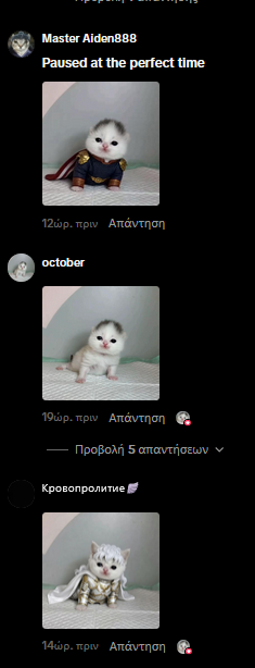 VendetaBest's tweet photo. I onboarded the next pibble/mitchi

There is this cat it has been going insanely viral all over TikTok with millions of views and people are changing their pfps to it and making memes with it 

Meet Tagoh(Kittpid):https://t.co/6nMFTNhAGv

I contacted the owner of the TikTok account and he made a solana address 

I’ll redirect the fees and send supply and make him put the CA in his bio