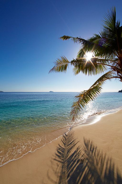 Travitinerary's tweet photo. Fiji https://t.co/24WZeCMvBR