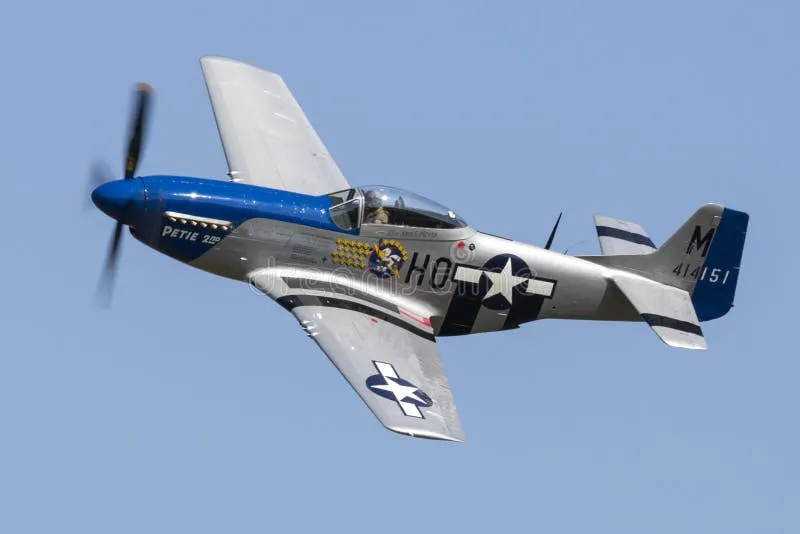 ProfChill1's tweet photo. @SandyofCthulhu Corsairs and Stukas and Spits were all beautiful... but the P51 was the most beautiful. https://t.co/NaLQkyZCa8