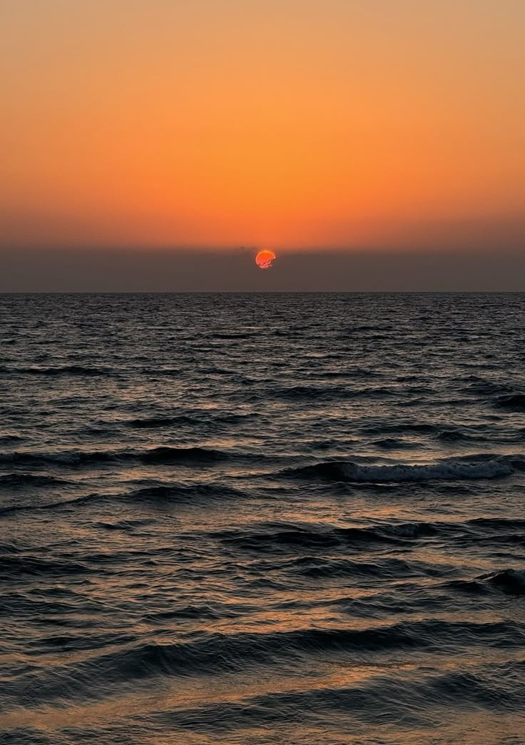 purelivn's tweet photo. sunset https://t.co/TzYNzb3tYh