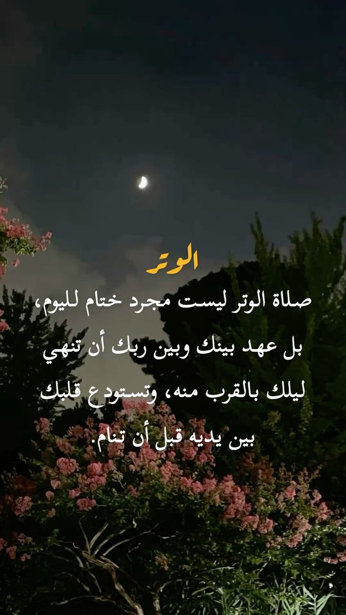 shimakhamis7876's tweet photo. سبحان الذي جعل انحناءة لا يتجاوز قطرها ذراعا تطوي مسافات الكون وتبلغ بالعبد في لحظة صادقة ما لا تبلغه الخطى الطويلة..
ففي الوتر تختصر الدروب وتفتح أبواب القرب
ويعود القلب من سفر التشتت إلى سكينة بين يدي الرحمن..

وتركم🌸 وعلى خير تصبحون 💜 https://t.co/2Fqq7bS5Qb