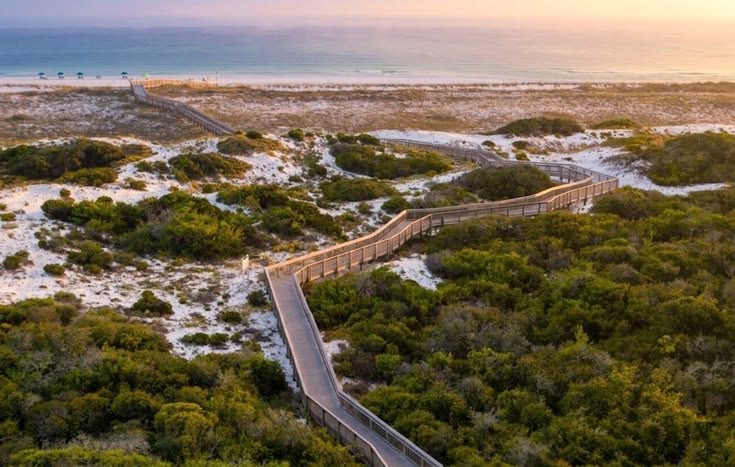 _BeachTraveler's tweet photo. Gulf Coast: Henderson Beach State Park, Destin FL https://t.co/u5JKoFSSEh #HendersonBeachStatePark #DestinFL #EmeraldCoast https://t.co/BdHxv9Dc7i #HendersonBeachStatePark #DestinFL #EmeraldCoast https://t.co/a92aeqvuss