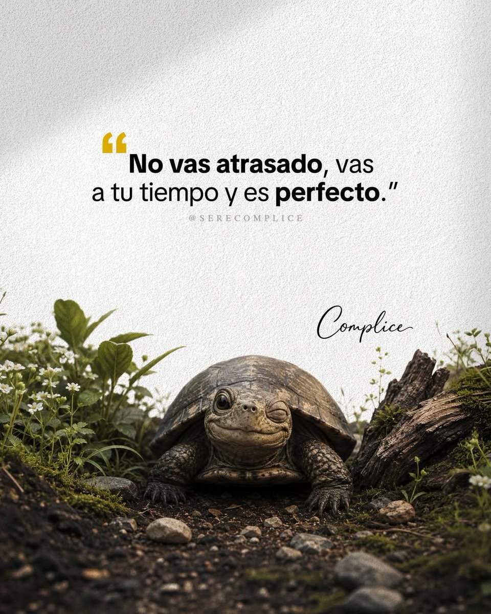 Ivann_Lechuga's tweet photo. https://t.co/Y4m3NymOmk
