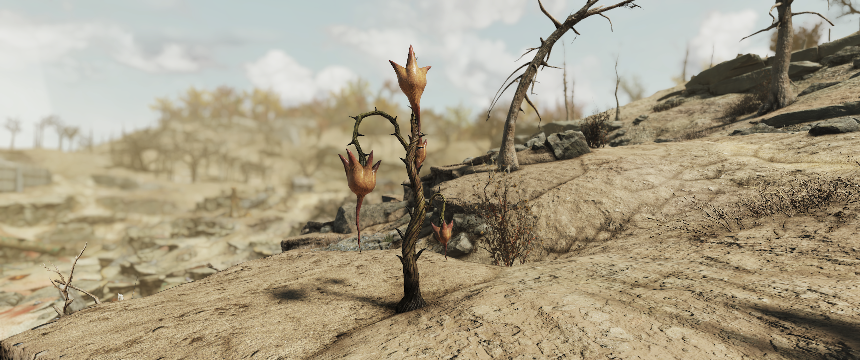 _PatrickJnr's tweet photo. what a nice plant

@bethesda @Fallout 

#fallout76 #photomode #fallout #bethesda https://t.co/jqZOqs3NcI
