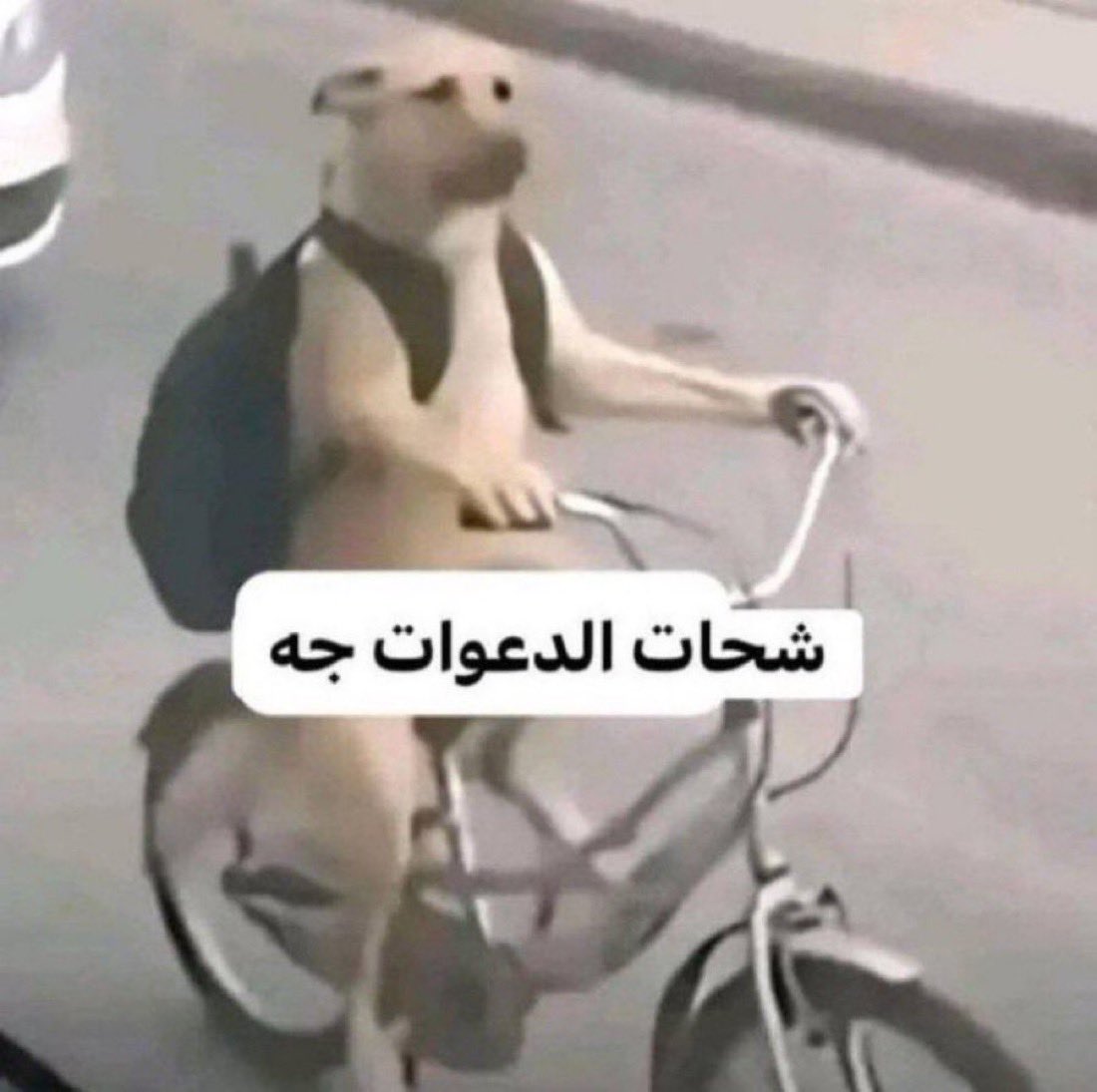 MMTT7666's tweet photo. دعواتكم لي عندي فاينل https://t.co/lrLPDmLNIL