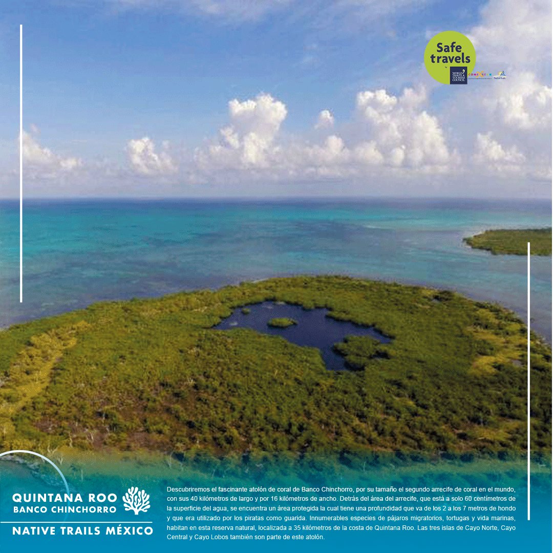 MxNative's tweet photo. 📍Banco Chinchorro, Quintana Roo, México🇲🇽

#ConNativeTrailsAMéxico #NativeTrailsMX #México #mexicolindoyquerido #QuintanaRoo

Más información 📌 https://t.co/jU36SmZkx6

✉️Info@nativetrails.de https://t.co/cTE5Jp84Sg