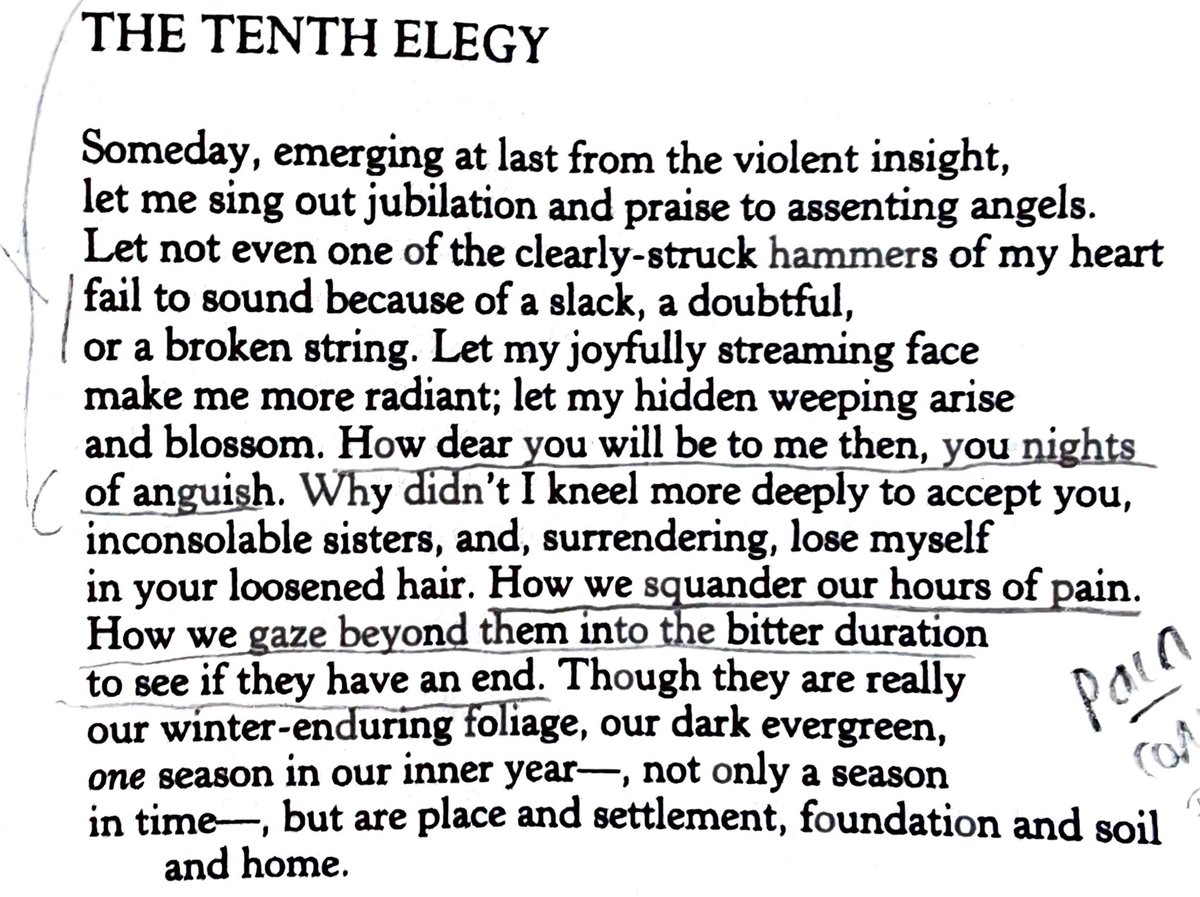 biancastone's tweet photo. How dear you will be to me then, you nights
of anguish.

Rilke https://t.co/QXCluDfGkG