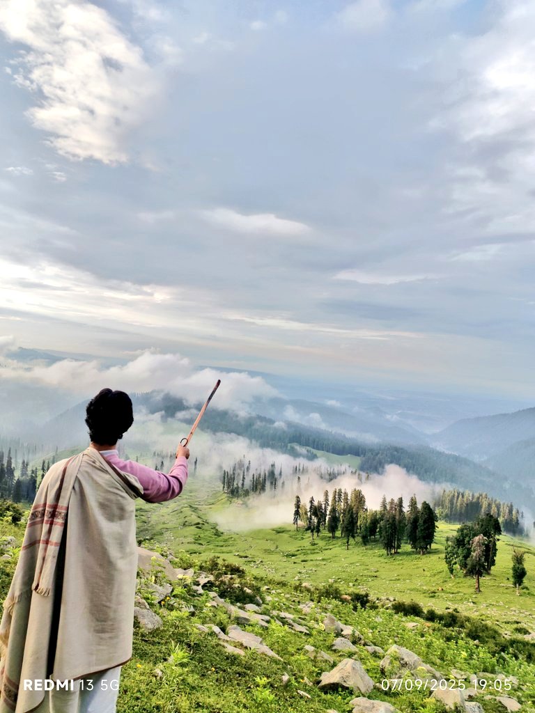 MuhammadHa97028's tweet photo. گمشدہ سی زندگی میں کس کو کس کی خبر🌲 https://t.co/gQXqI2TSkJ