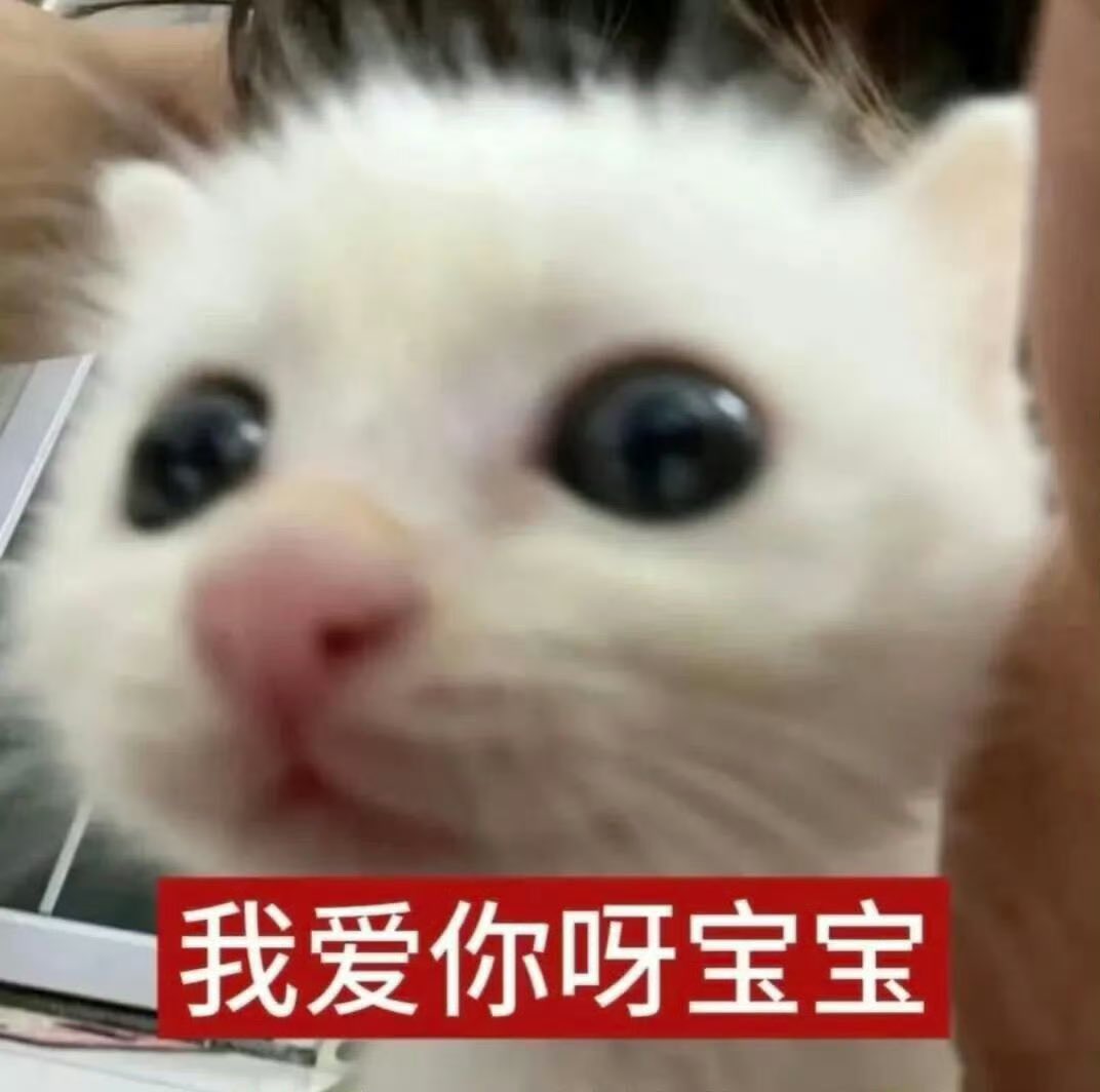 mmmessmeme's tweet photo. @iiis153138 美丽 https://t.co/GeSrtfMLxH