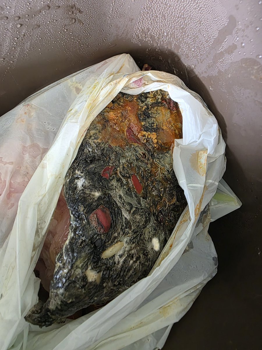 EastStandVoice's tweet photo. @Tildarice Folks, be careful of the rice! I can assure you that rice 'n' peas DOES NOT look like this. It looks like an alien from out of space and it stank to high heaven! It was actually from a tilda rice packet - buy their rice at your peril https://t.co/cAUeJuJOS3