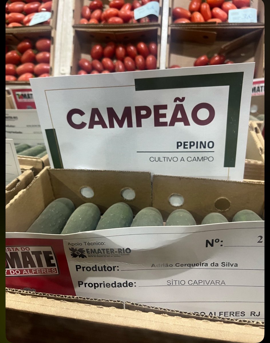 annefalou's tweet photo. @judepaulla1 iconico os vegetais campeões https://t.co/SNx8Dlr3Br