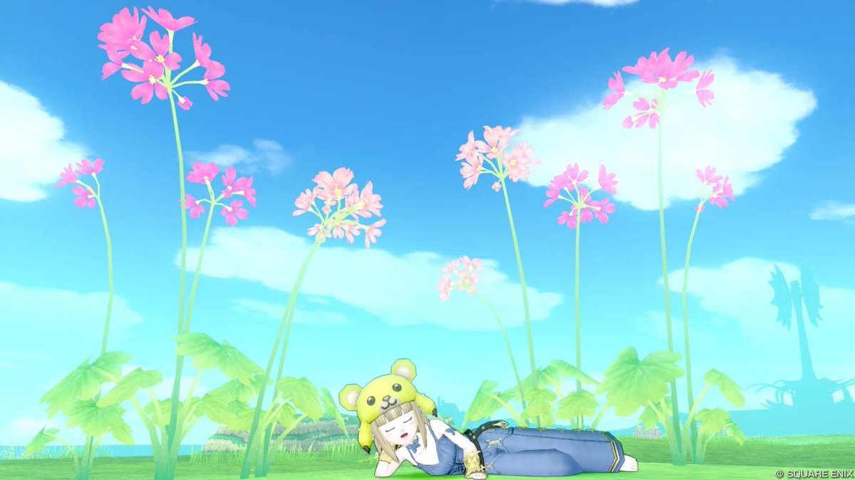 nutscom_dqx's tweet photo. #こむぎのおたからさがしdqx ④
実は地味にちゃんと更新中
プクランドはお花がかわいいなーとかそんなん見ながら冒険していーる https://t.co/JPKqexkPYj