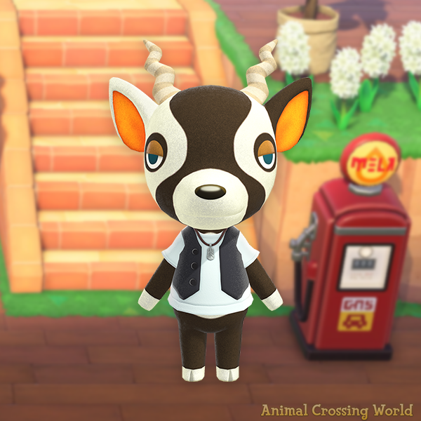 ACWorldBlog's tweet photo. Happy Birthday to Zell! 🎉🦌 https://t.co/QWNZgPPoog