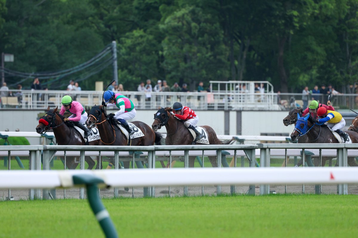 Orfe20122013's tweet photo. Michael Dee🇳🇿🇦🇺 &amp; Face Lift🐎
June 7, 2026, TOKYO 6R
1300m, Dirt, 3-Year-Olds, Maiden🥉 https://t.co/oFnIfjwWFp