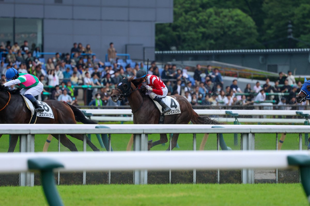 Orfe20122013's tweet photo. Michael Dee🇳🇿🇦🇺 &amp; Face Lift🐎
June 7, 2026, TOKYO 6R
1300m, Dirt, 3-Year-Olds, Maiden🥉 https://t.co/oFnIfjwWFp