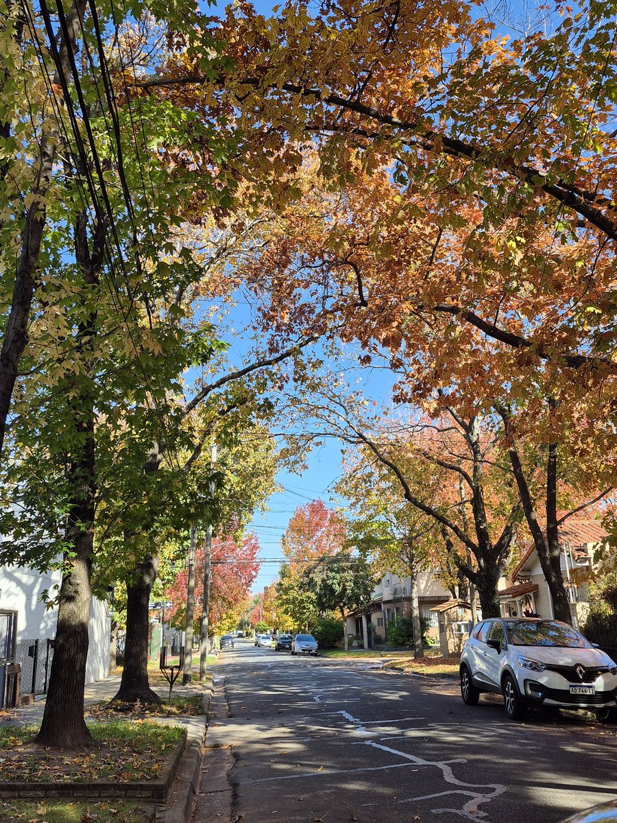 celix1908's tweet photo. @wsosaescudero Hermoso!!! Y en coghlan asi se veía mi calle ahora estoy vicente lopez tb hermoso https://t.co/02yvYhGwje