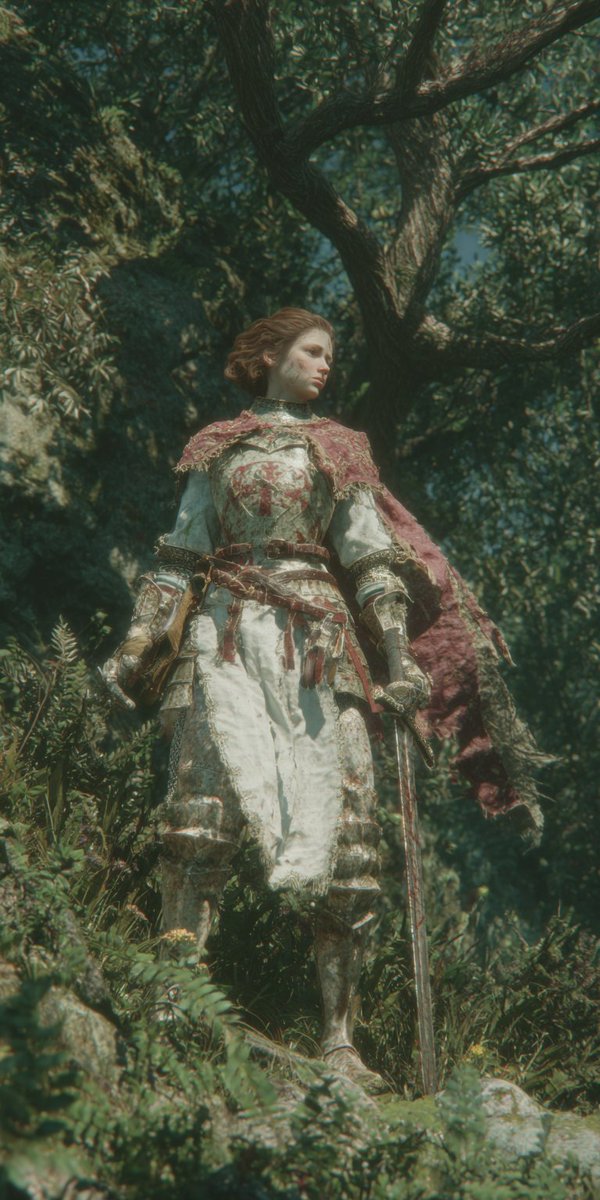 KnightWorld's tweet photo. "Storms do not destroy strong trees, they make their roots hold deeper." https://t.co/lMNOu5CX0q
