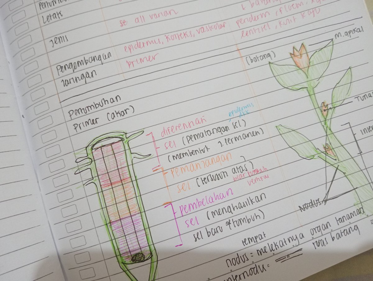 afskya's tweet photo. bebel's stuDYING biology (⁠灬⁠º⁠‿⁠º⁠灬⁠)⁠♡ https://t.co/jUI6zwLzdh