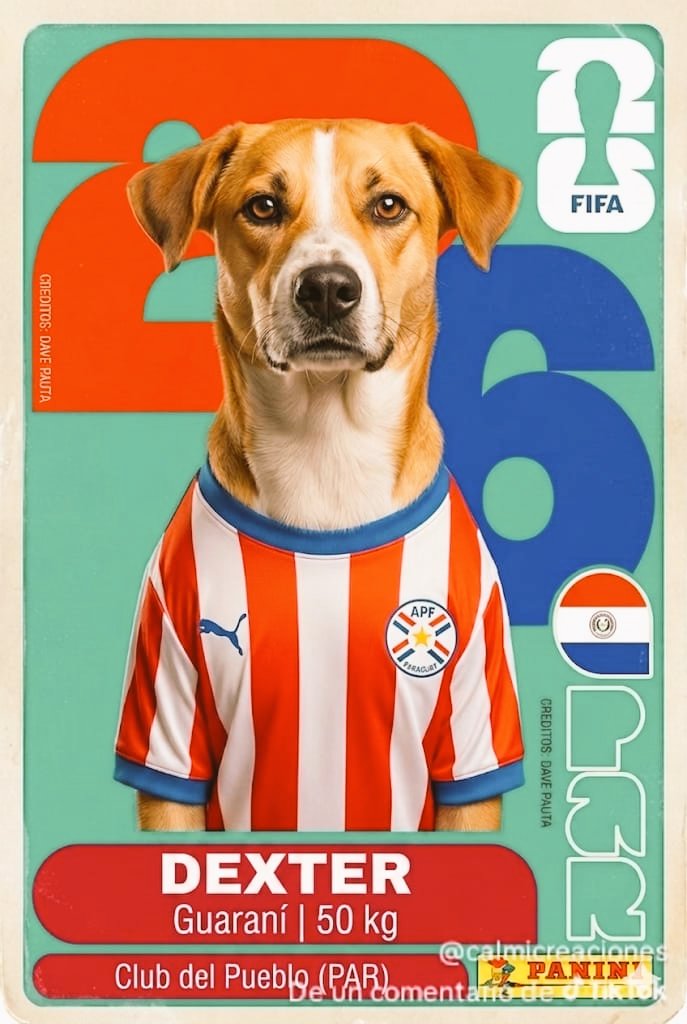 out_futbolpy's tweet photo. https://t.co/izf8nRjJd5