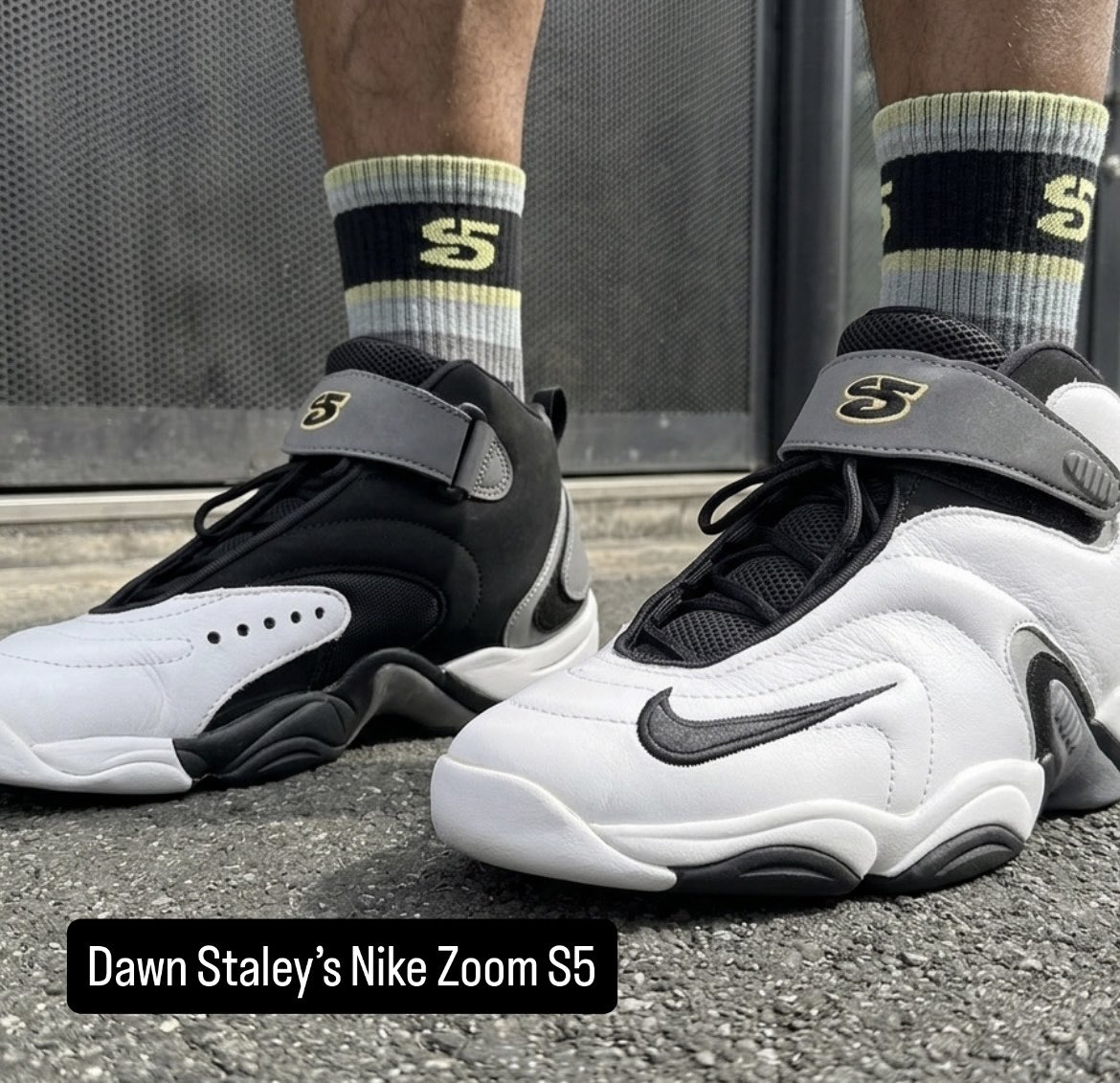 KingofKings1027's tweet photo. #KOTD Dawn Staley Nike Air Zoom S5.. 

Jumped into the Time Machine again, headed to 1999 to get them. 💫 Nike should retro these for sure! https://t.co/X8e1yImwBY