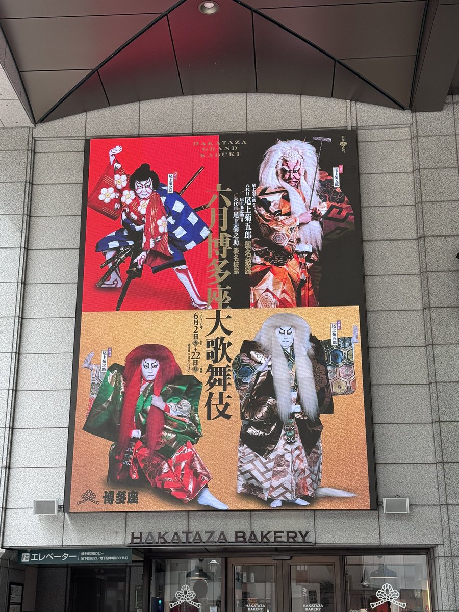 _beer_beer's tweet photo. 八代目の踊りが好きすぎて「茨木」目当てに来たけれど連獅子も良かったなぁ…菊之助くんがこの1年踊り込んできた子獅子がすっかり自分のものになっていて、大曲を踊る楽しみが全身から溢れていて尊い…

たのしいよねぇ、とこっちもにっこり。満足げに見守る親獅子も素敵でした☺️ https://t.co/I5LoLVFgJh