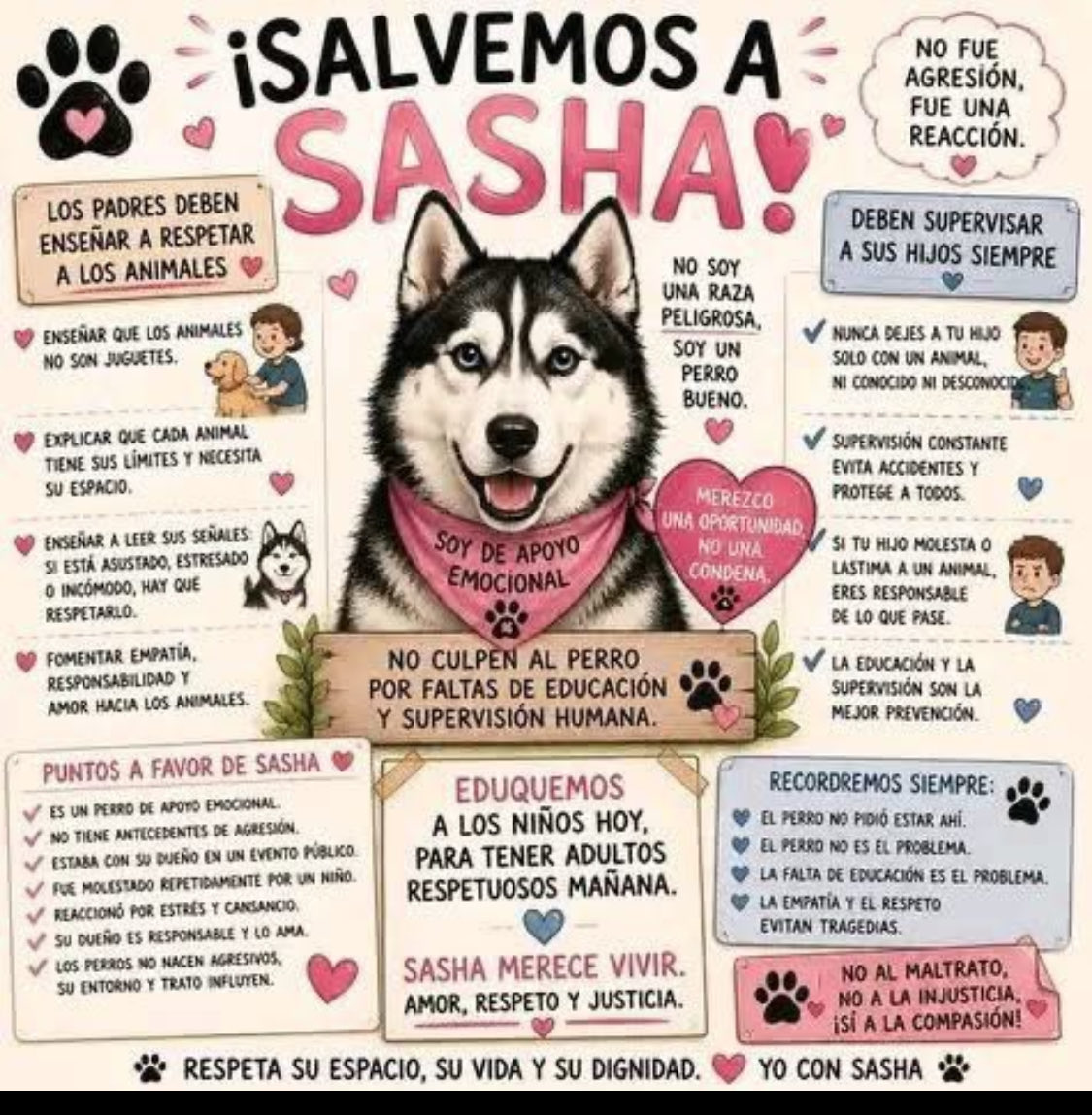 spanecatl's tweet photo. @CruzPerzCuellar Devuelve a Sasha. https://t.co/KVGsFH5yDG