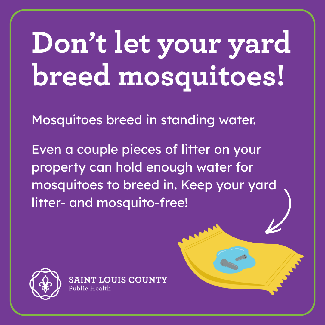 StLCountyDOH's tweet photo. DYK that a couple pieces of litter on your property could be breeding mosquitoes? Even a bottle cap can hold enough water for mosquitoes to breed in. At least 1x/week, walk through your yard and pick up any pieces of litter that have ended up there.
#FightTheBite #MosquitoControl https://t.co/vMLmfMUCuX
