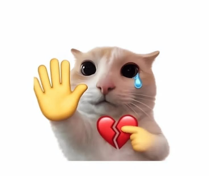 ragingatom's tweet photo. @DevanshAr05 bas kar bhai, itna dukh kaafi hai aaj ke liye 

btw charles is bad,he's not a good driver, idk why people like him, the day he leaves ferrari is the day he will fade away from relevance , ferrari will ditch him for Max tho max wont go there https://t.co/4eccTgJ4mb