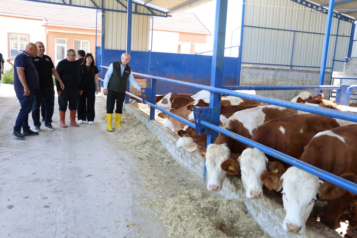 semsibayraktar's tweet photo. Aksaray merkeze bağlı Kazıcıktol Köyü’nde, Aksaray Ziraat Odası Başkanı Emin Koçak’a ait hayvancılık işletmesini ziyaret ettik.
Ziyaretimiz kapsamında işletmede yürütülen hayvancılık faaliyetlerini yerinde inceleyerek sektörün mevcut durumu, üreticilerimizin karşılaştığı sorunlar ve talepleri üzerine değerlendirmelerde bulunduk. Üretimin sürdürülebilirliği ve hayvancılık sektörünün gelişimi adına yapılabilecek çalışmaları istişare ettik.