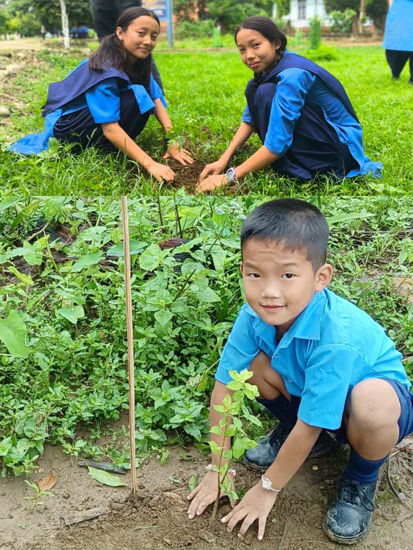 vkvapt's tweet photo. 🌍 World Environment Day 2026 | VKV Oyan
Nurturing nature, inspiring responsibility, and building a greener future together. 🌱💚
https://t.co/9tcKXOqHrD
#VKV #VivekanandaKendra #ArunachalPradesh #VKVAPT #VivekanandaKendraVidyalaya #WorldEnvironmentDay2026  #VKVOyan https://t.co/4RY7X3eVhU