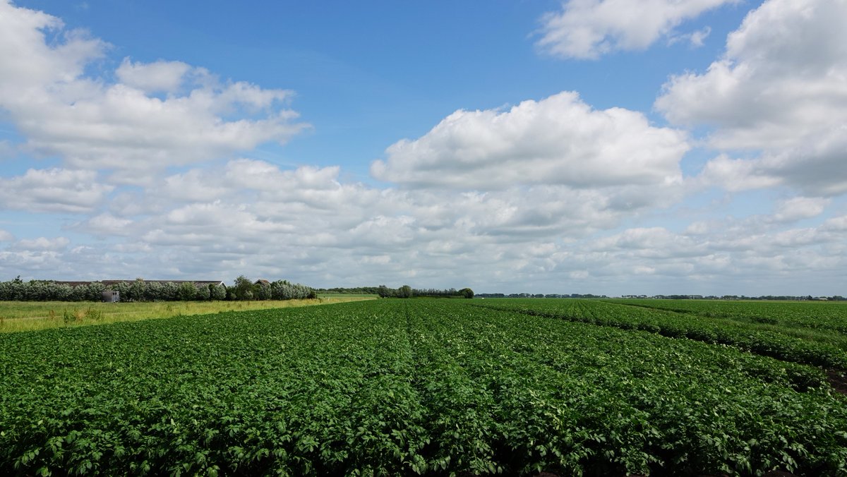 TonWesselius's tweet photo. @BuienRadarNL @MeteoVoorne @MeteoGouda @janvissersweer @Alpenweerman @TalpaNetwork @weeronline @Weerplaza @omroepwest @pictureofNL @Groenehartstoc1 Vanmiddag wat opklaringen en stapelwolken,best een stevige wind erbij https://t.co/g53rXGFwyJ