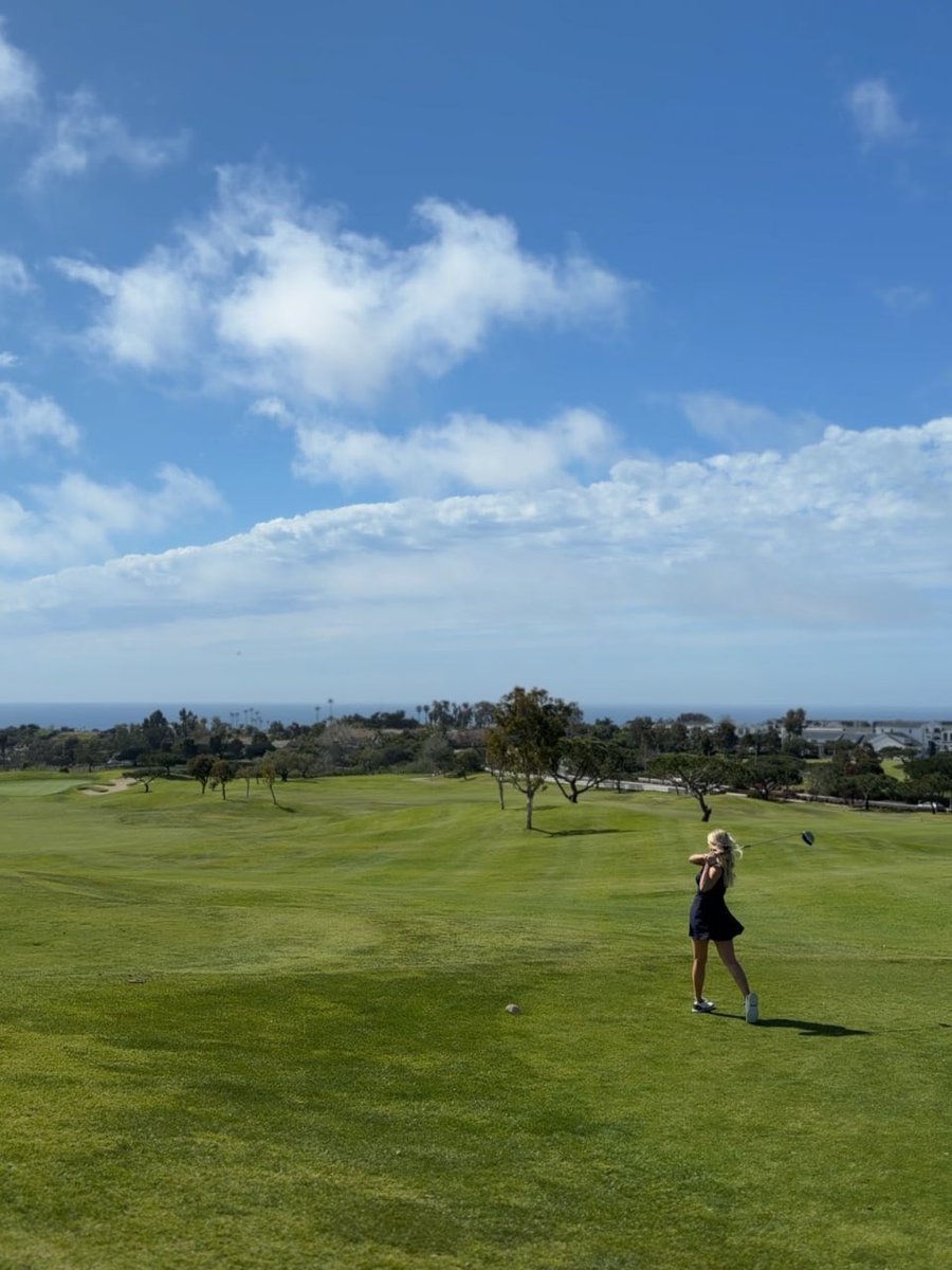 stephswingsy's tweet photo. Anyone want to play ball together today? https://t.co/eI1P6Ii5JM