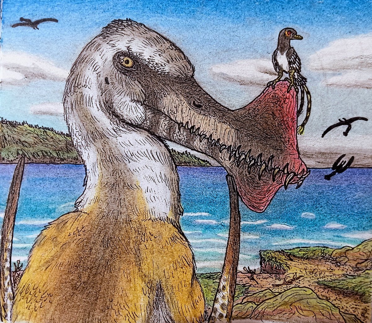 CryoKing2's tweet photo. Thapunngaka, Australia's largest pterosaur. I adore this animal and I'm so, so pleased with how this drawing turned out.

I hope y'all love it as much as I do.
Lineart below.

#thapunngaka #pterosaur #paleontology #paleoart #art #artwork #dinosaur #jurassicpark #jurassicworld https://t.co/A7rAUCWHyd