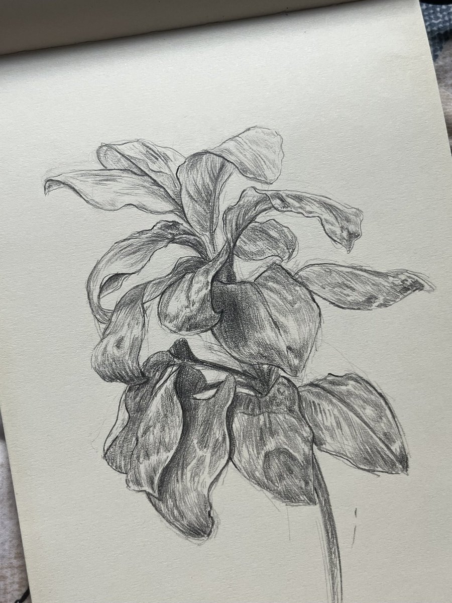 mmonjuneday's tweet photo. บนใบเสร็จก็ยังวาด ✏️✏️ https://t.co/coNin7qCNJ