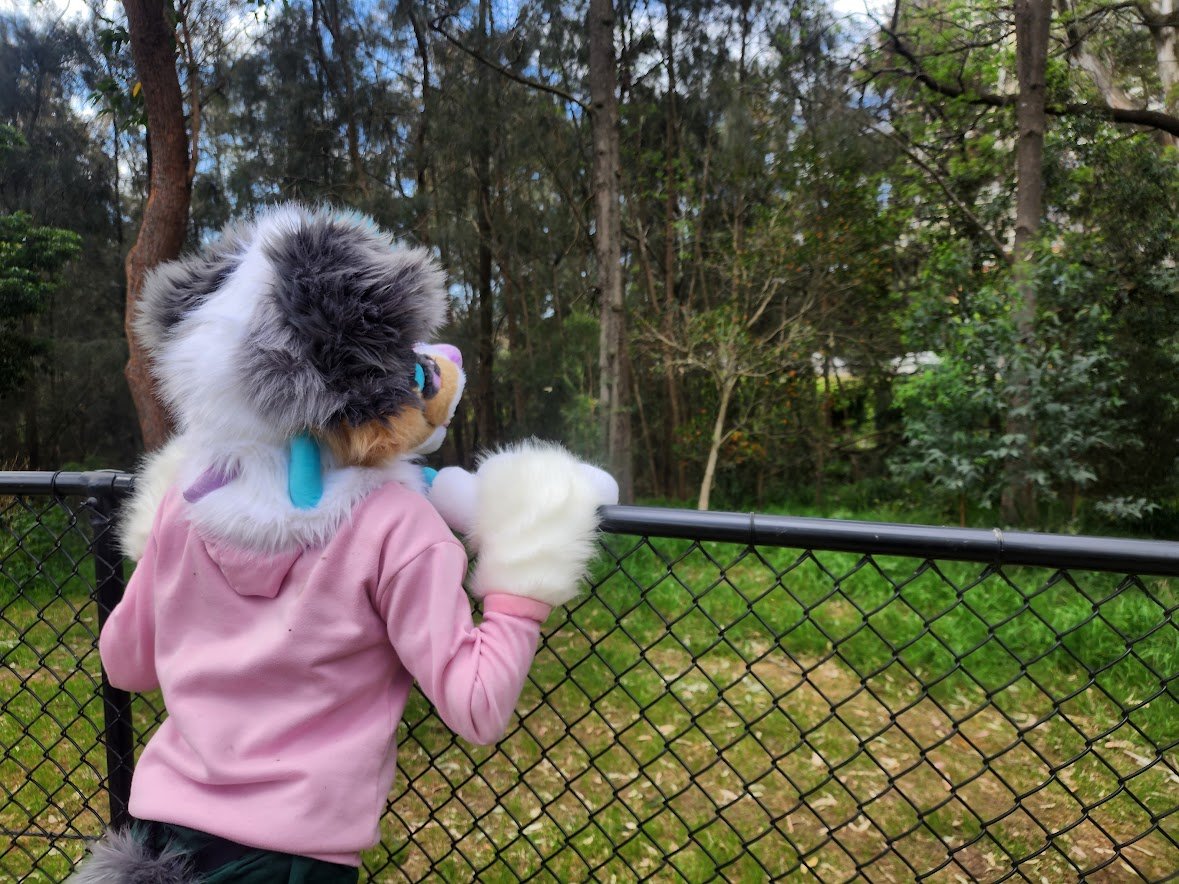 AshFluffyDerg's tweet photo. What's over there :0 (old pic) https://t.co/iZ48VyCRRr