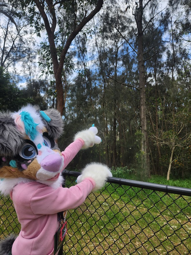 AshFluffyDerg's tweet photo. What's over there :0 (old pic) https://t.co/iZ48VyCRRr