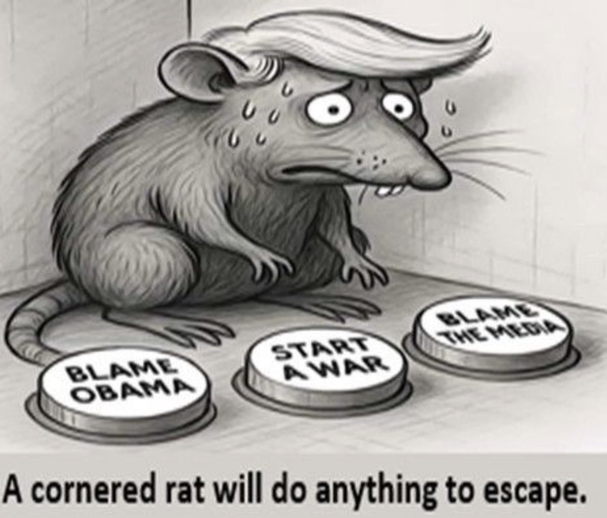 PalmettoHawk's tweet photo. @atrupar If Trump can't prove anything with at least arrests &amp; charges then the orange buffoon is full of shit again https://t.co/chvLNq5ZlM