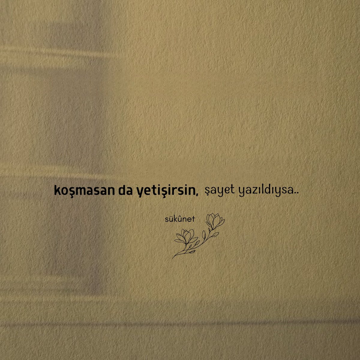sukunnettt's tweet photo. https://t.co/A0T1M8lUum