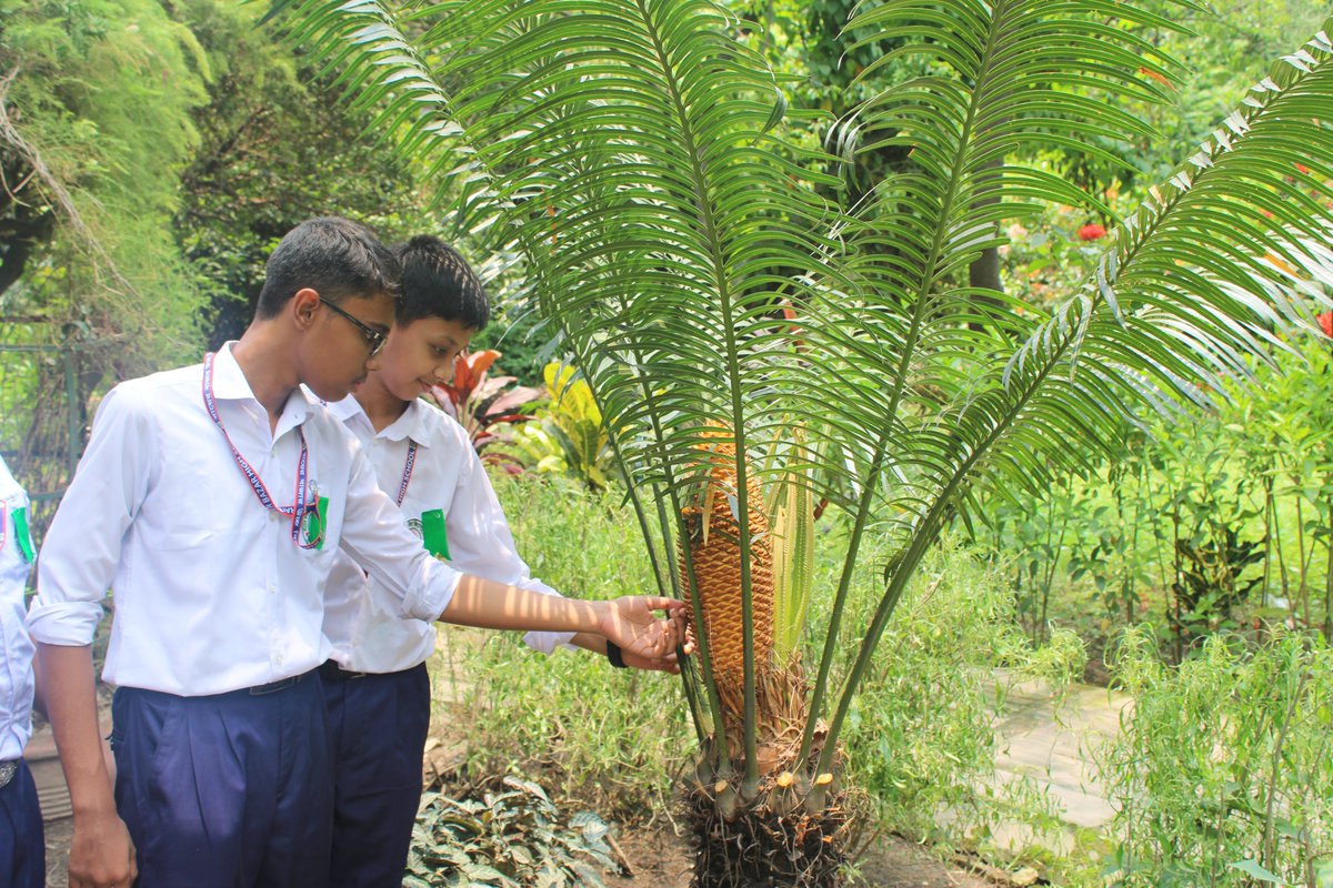 probhaaurora's tweet photo. A meaningful celebration of @MADW &amp; @WorldEnvironmentDay brought together students, youth, educators, and conservation experts for hands-on learning on @biodiversity &amp; @environmentalrestoration through field activities, expert discussions, and creative engagement.
@SERestoration https://t.co/6FDJe8qNJa