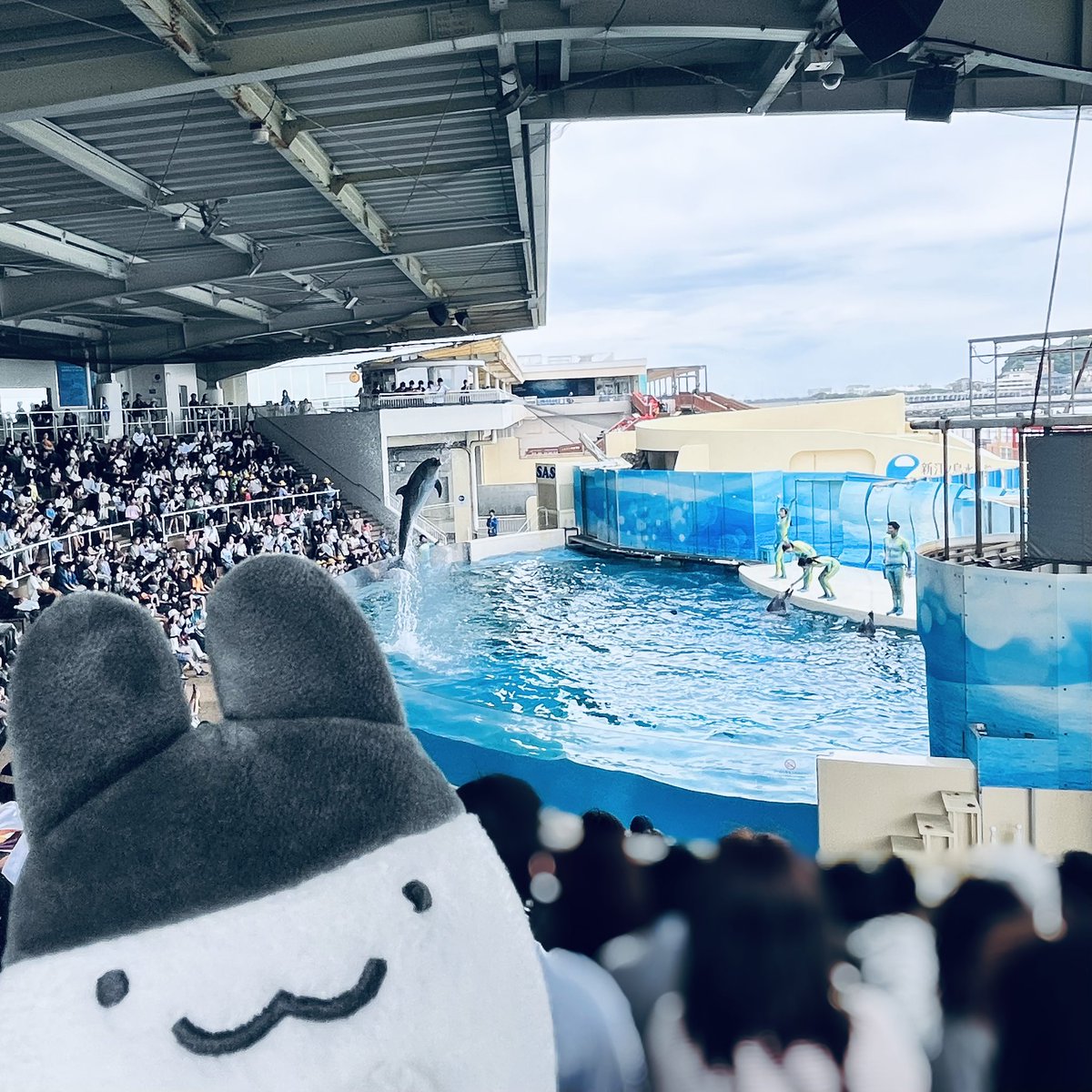 geekramb's tweet photo. たまごっち×えのすい
先日滑り込みで行ってきました🐠
延長してくれてありがとう〜🐬🪼🐢 https://t.co/jNYixS8EqV